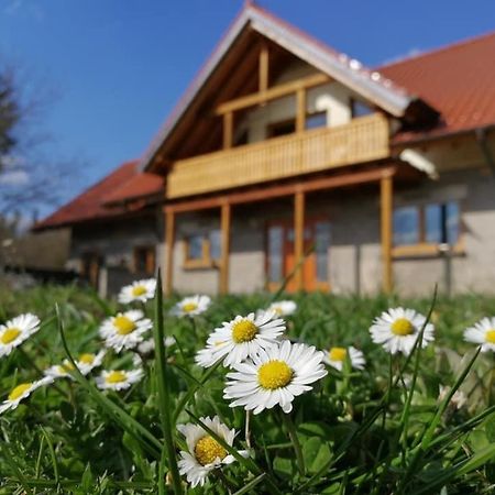 Wandertraum Johann - Fewo Eifel Kruft Kültér fotó