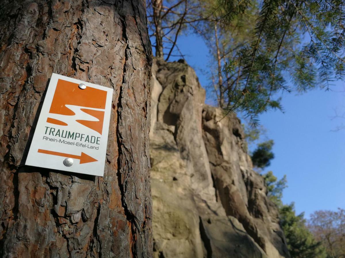 Wandertraum Johann - Fewo Eifel Kruft Kültér fotó